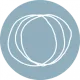 Boost Health Collective