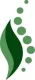 Kinlock Osteopathy